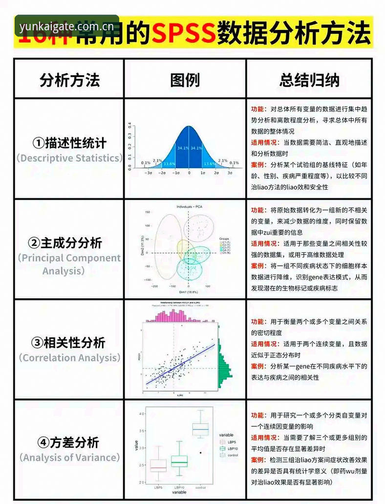 云开APP赔率数据统计实用技巧——从入门到精通的必备知识
